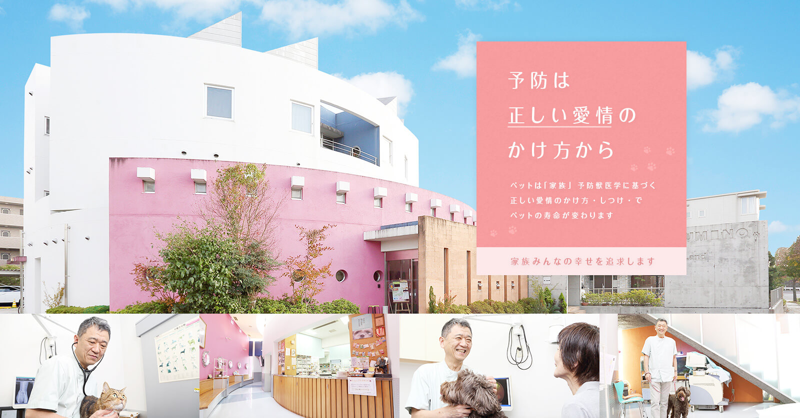 予防は正しい愛情のかけ方から