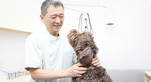 定期検診
